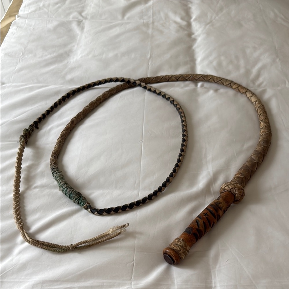 Braided Leather Whip